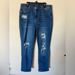 Judy Blue Boyfriend Fit Jeans